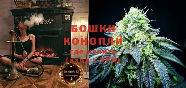 ПСИЛОЦИБИНОВЫЕ ГРИБЫ Белоозёрский