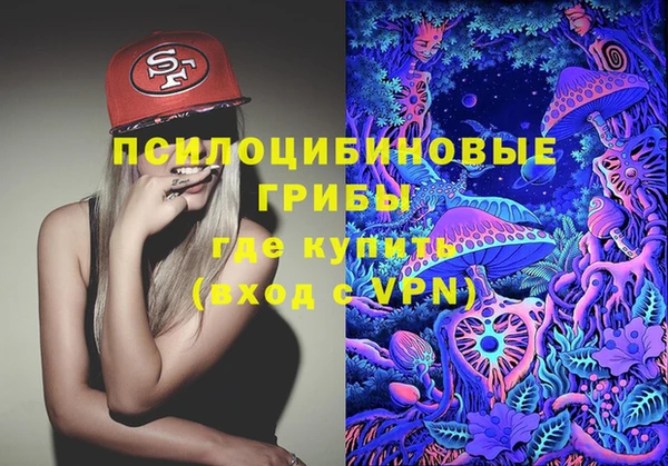 спайс Арсеньев