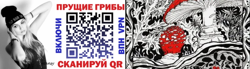 Псилоцибиновые грибы мухоморы  Кашин 